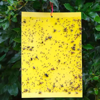 Přípravek proti hmyzu Lepicí pasti na létající rostlinný hmyz 20 ks