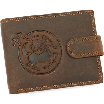 Peněženka Pánská peněženka Wild L895-011 hnědá