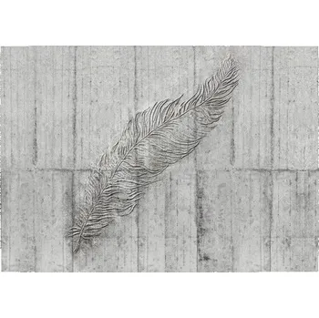 Fototapeta Fototapeta vliesová X7-1023 Concrete Feather 350x250 cm