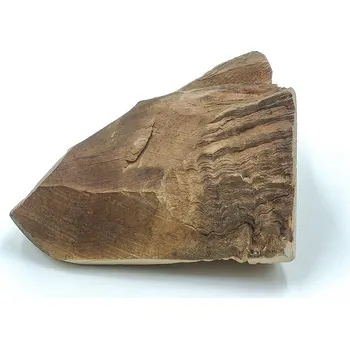 Hračka pro psa EXPLORER DOG Žvýkací kořen vřesu pro psy S