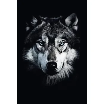 Obraz Obraz na plátně "Animal" 60x90 cm