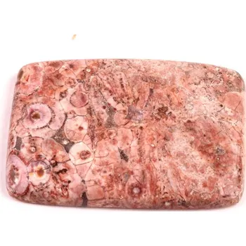 Korálek Kabošon Birds Eye Jasper č.2166 (39x27x5mm)