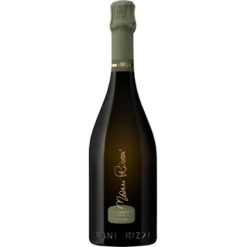 Víno Nani Rizzi Prosecco Valdobbiadene Spumante DOCG Extra Dry 0,75l 11,5%