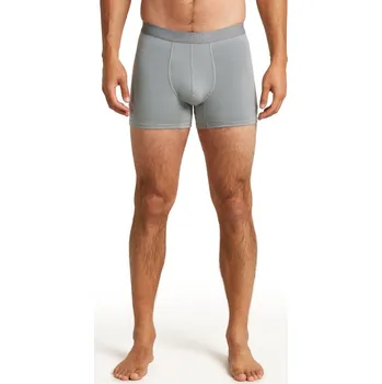 Boxerky Pánské merino boxerky ICEBREAKER Mens 125 ZoneKnit Boxers, Alloy velikost: S