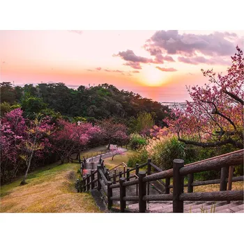 Obraz Obraz na plátně Západ slunce, 85 × 113 cm CA-17027