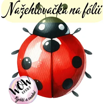 Nažehlovačky na fólii Nažehlovačka na fólii, BERUŠKA, 1 kus Zvolte VELIKOST motivu ZDE:: Menší