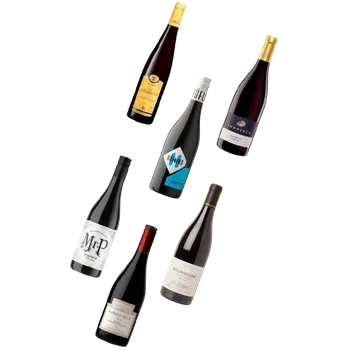 Víno Degustační set Rulandské modré ze světa