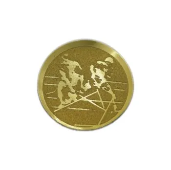 Emblém Florbal Ø25 mm, Barva Zlato