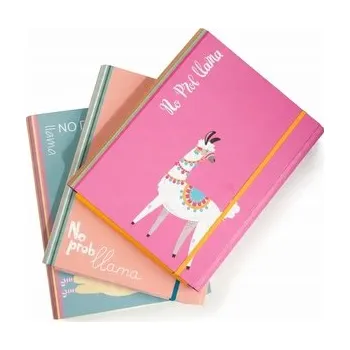 Archivační box Teczka 2cm z gumką PROBlama, VauPe