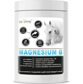 Dromy Magnesium B 1 kg