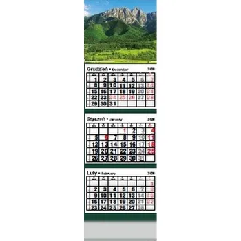 Kalendář Kalendarz trójdzielny 2026 nr 12 Tatry