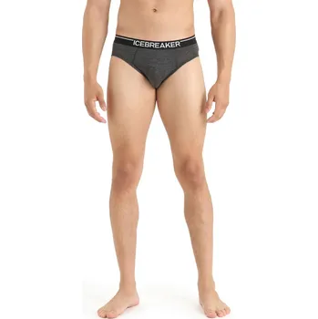 Slipy Pánské merino slipy ICEBREAKER Mens Anatomica Briefs, Jet Heather velikost: L
