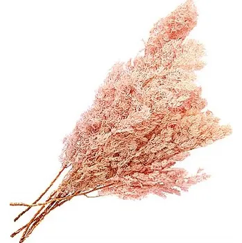 umělá květina Florservice asparagus umbelanthus růžová