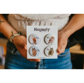 Dekorativní magnet ePiPí Sada magnetů - Sovy