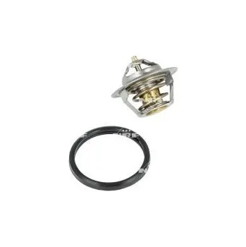 Těsnění motoru Termostat, chladivo NRF 725154