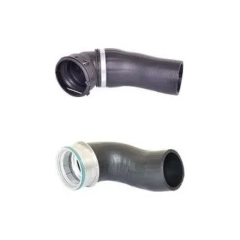 Hadička plnicího vzduchu BUGIAD 84630