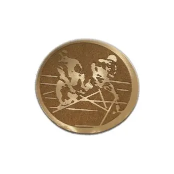 Emblém Florbal Ø25 mm, Barva Bronz