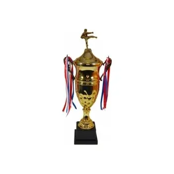 Pohár karate Rennes 44 - 57 cm, Výška 50 cm - B