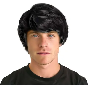 Karnevalová paruka Paruka pánská, černá