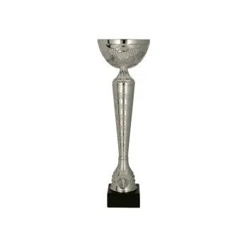 Sportovní pohár Paříž 28 - 35 cm, Výška 32 cm - Stříbro