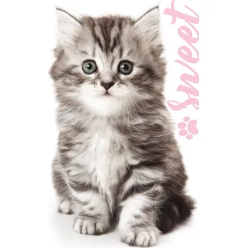 Carbotex Froté ručníček Kocourek Mourek - vyp