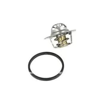 Těsnění motoru Termostat, chladivo NRF 725135
