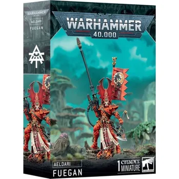 Desková hra Games Workshop Warhammer 40,000 - Aeldari: Fuegan