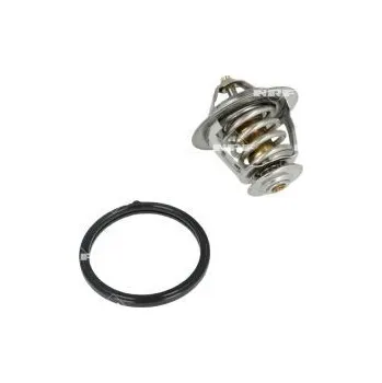 Těsnění motoru Termostat, chladivo NRF 725132