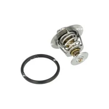 Těsnění motoru Termostat, chladivo NRF 725118