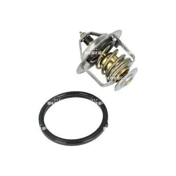 Těsnění motoru Termostat, chladivo NRF 725251