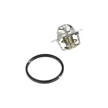 Těsnění motoru Termostat, chladivo NRF 725016