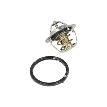 Těsnění motoru Termostat, chladivo NRF 725196