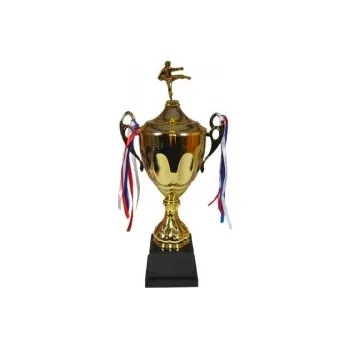 Pohár karate Graz 41 - 54 cm, Výška 44 cm - C