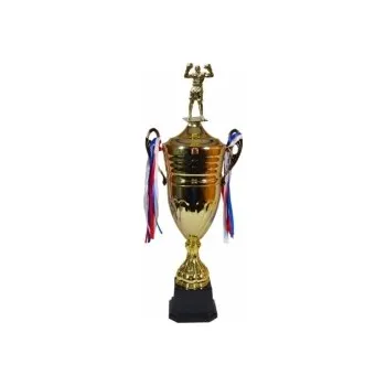 Boxerský pohár Coimbra 55 - 76 cm, Výška 61 cm - D