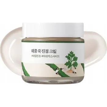 Pleťový krém Hydratační krém na obličej Round Lab Mugwort pro denní i noční použití 80 ml