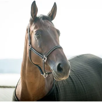 Ohlávka s vodítkem Horze, Pony - Černá