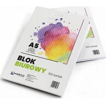 Sešit Sešit A5 Interdruk, 100 listů, měkká vazba