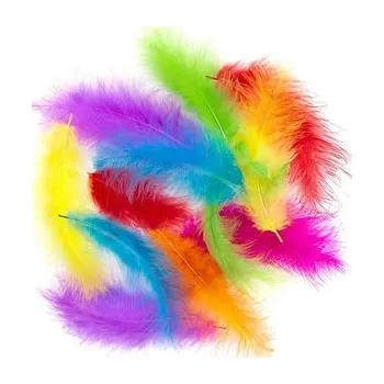 Set školních potřeb Pióra indycze 10-15cm 30szt