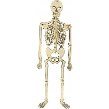 Obraz Plastová závěsná kostra Widmann 32 cm