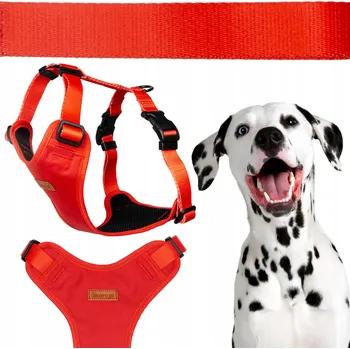 Postroj pro psa NASTAVITELNÉ netlakové postroje pro malého teriéra XS 15 mm Ukory ČERVENÉ