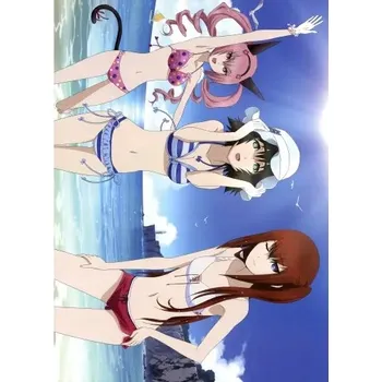 Obraz Plakát anime 29,7 x 41 cm