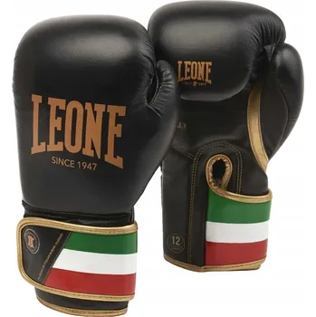 Boxerské rukavice Boxerské rukavice Leone 301-Y 10 oz