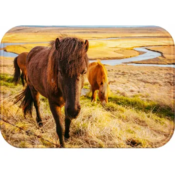 Rohožka KOUPELNOVÁ PŘEDLOŽKA PROTISKLUZOVÁ RYCHLESCHNOUCÍ ROHOŽKA STYL OBDÉLNÍK 40x60