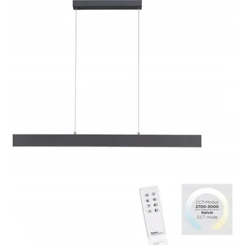 Světelný řetěz PAUL NEUHAUS 120 cm do zásuvky černý