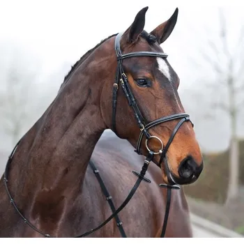 Kožená uzdečka komplet Horze Constance, Full - Černá