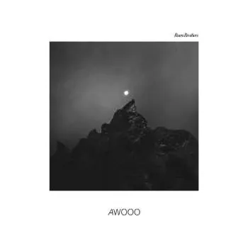 Zahraniční hudba LP Ruen Brothers: Awooo 2025