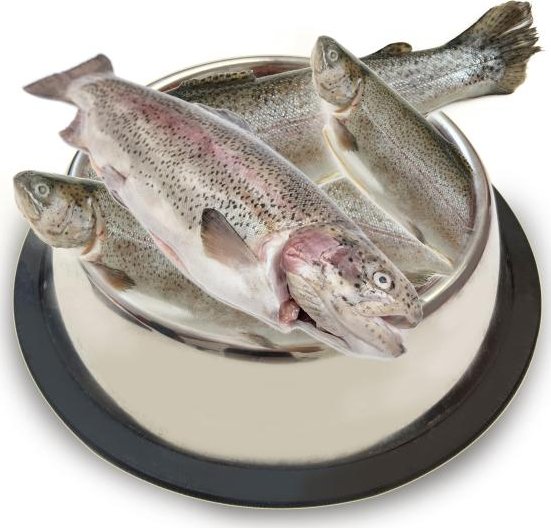 Pstruh kuchaný 1kg