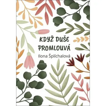 Když duše promlouvá - Ilona Šplíchalová