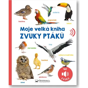 Kniha Moje velká kniha Zvuky ptáků