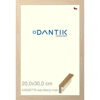 Rám na obraz DANTIK rámeček 20x30 | KASSETTE dub bělený malá (Sklo Čiré) (Vyrobeno s láskou u nás v DANTIKU)